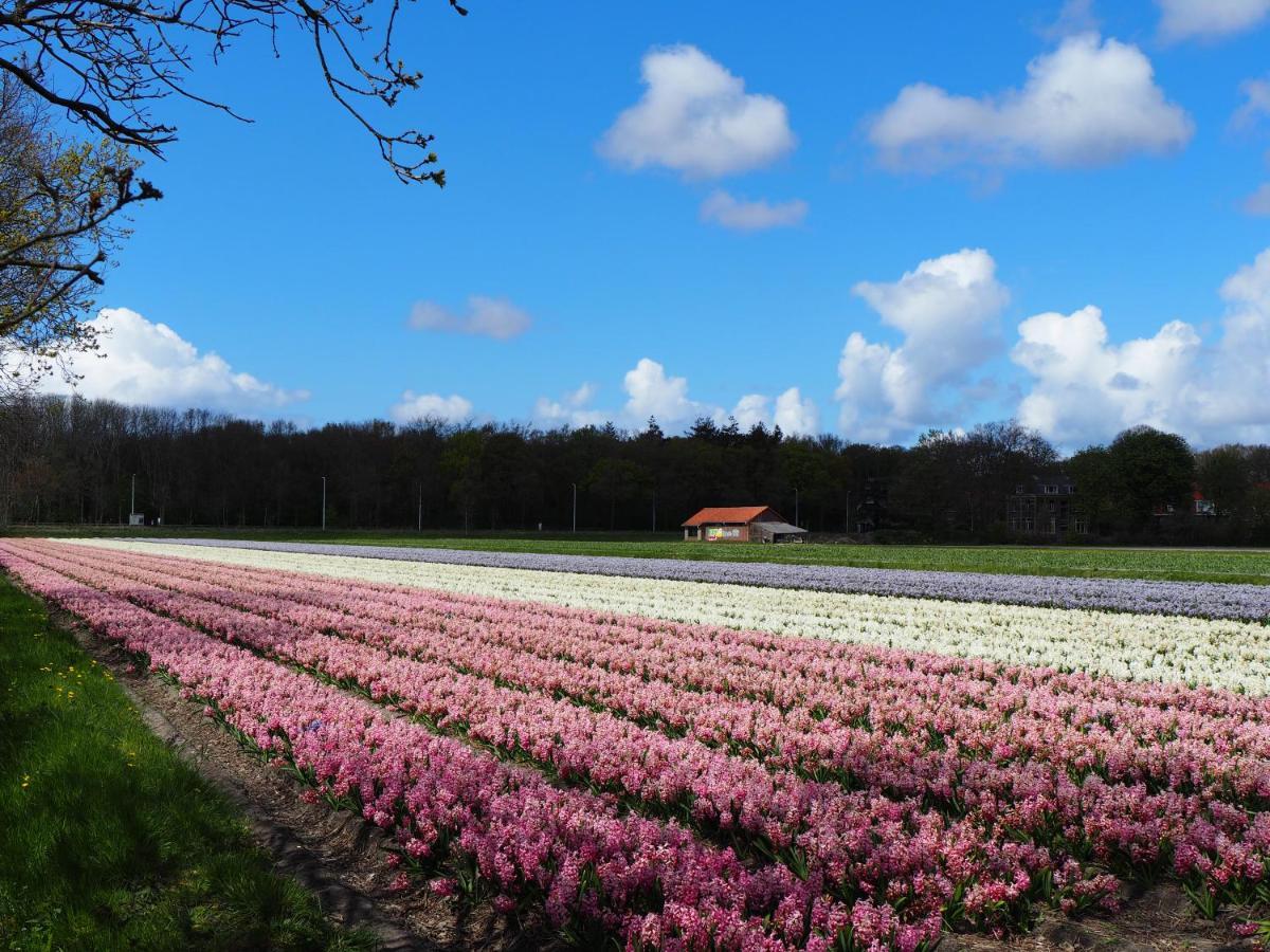 Polderlodge Hillegom Eksteriør bilde